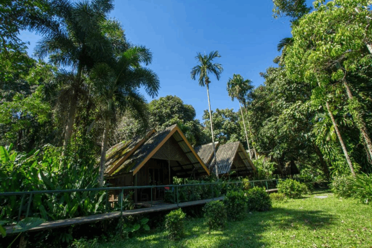 What Makes The Rainforests Of Khao Sok So Enchanting?