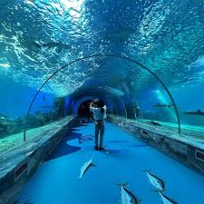 Top 10 Places to Visit in Bangalore – Why Aquarium Paradise Deserves a Spot