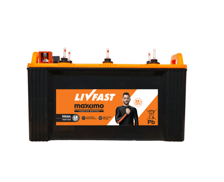 Inverter Battery