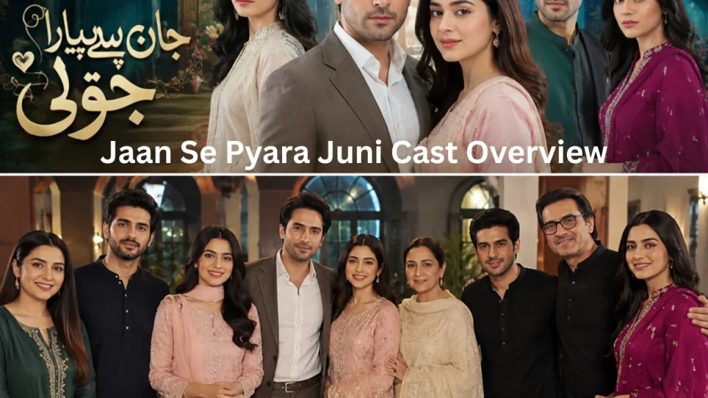 Jaan Se Pyara Juni Cast Overview